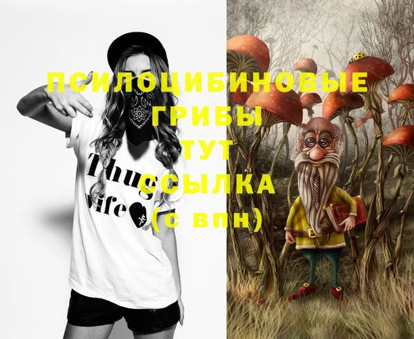 спиды Армянск