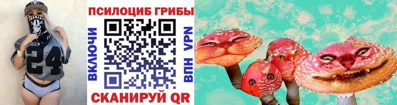 Галлюциногенные грибы Cubensis  Баймак 